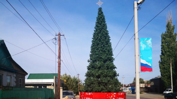 Зима близко... а Новый год ещё ближе! Под Волгоградом установили новогоднюю елку