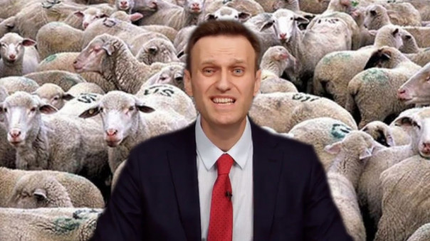 Через биткоин-кошельки Навального прошло почти 500 млн рублей за четыре года