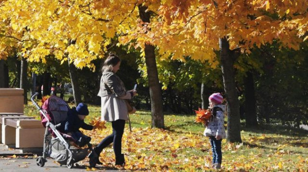 Правительство одобрило выплаты на детей от трех до семи лет