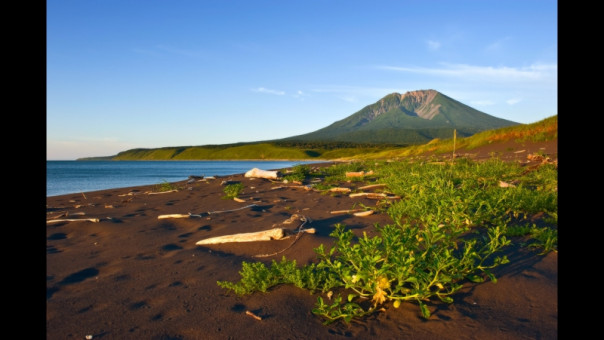 Япония может сделать харакири, узнав, что Россия построит на Курилах