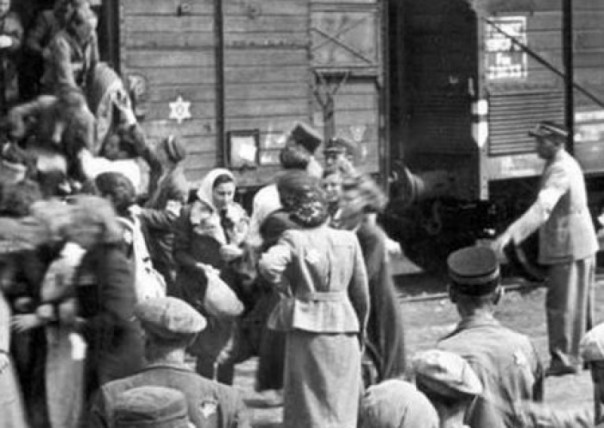 Эдуард Долинский: Авторы учебников сознательно фальсифицируют историю