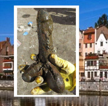 В Польше нашли фаллоимитатор возрастом 250 лет