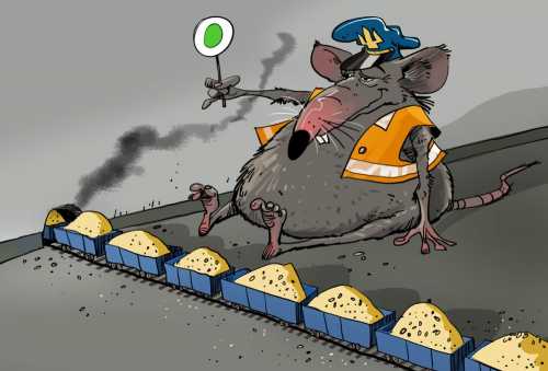 Аудит подтвердил: Госрезерв Украины разворован