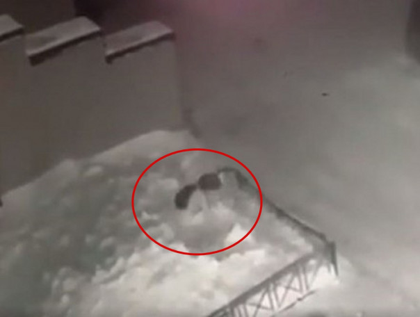 Встала, отряхнулась и пошла: 6-летняя девочка выпала с четвертого этажа в Томске