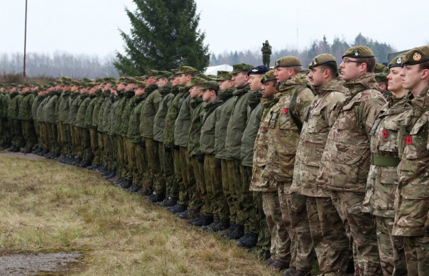 Литовские фермеры VS НАТО: 1:0