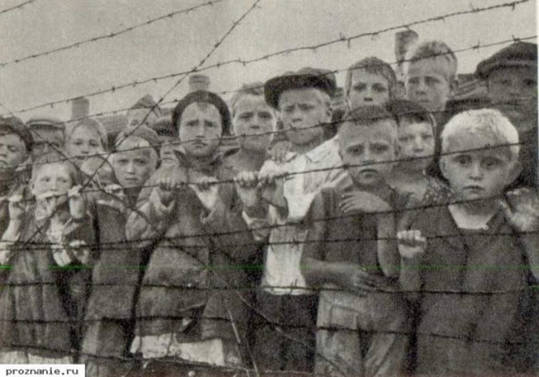 Мирное население Советского Союза подвергалось геноциду наравне с жертвами Холокоста