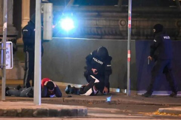 В погоне за «свободой слова»: полупустые улицы Вены как отражение европейской несдержанности