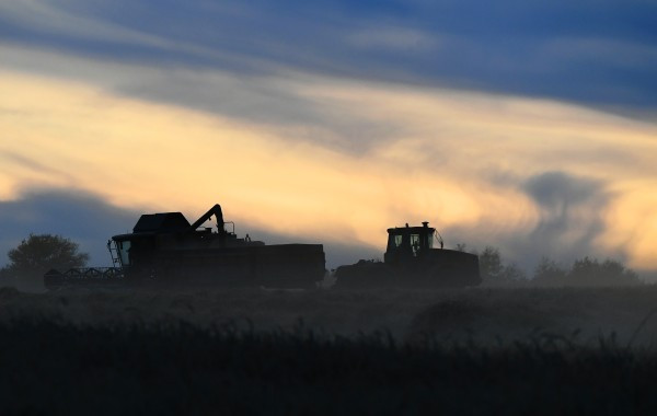 Россия установила тариф на экспорт зерна и экспортную пошлину на пшеницу