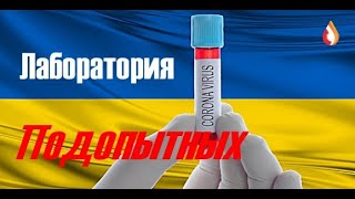 Лаборатория подопытных | Путин | Оболванивание | Существуют как могут | Страх Свидомых