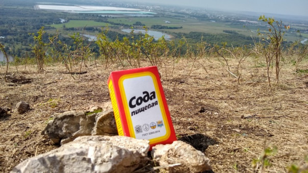 Суд передал государству акции Башкирской содовой компании