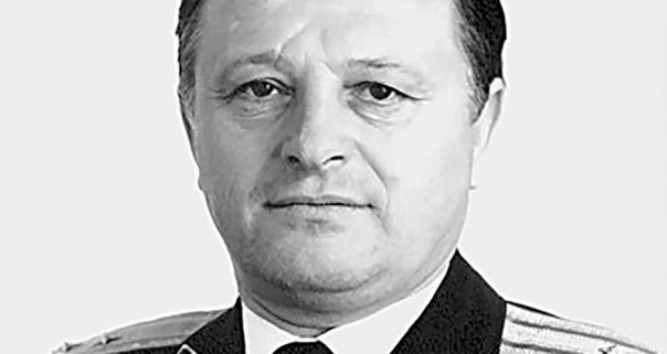 Звезда под №11431