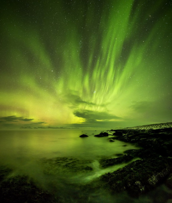 Как киты охотятся при северном сиянии