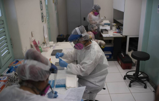 В Дании, Нидерландах и Австралии обнаружили мутацию коронавируса