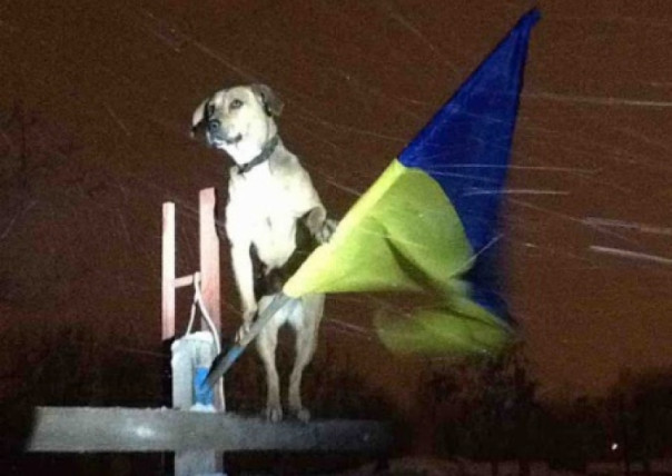 Просто о сложном. Почему Украина деградировала