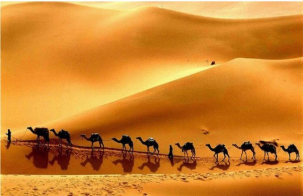 Почему в колодцах посреди пустыни всегда была вода