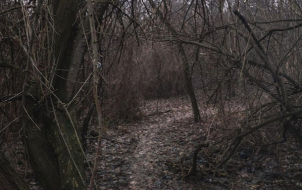 [18+] В Днепропетровске нашли труп мужчины без нижней части