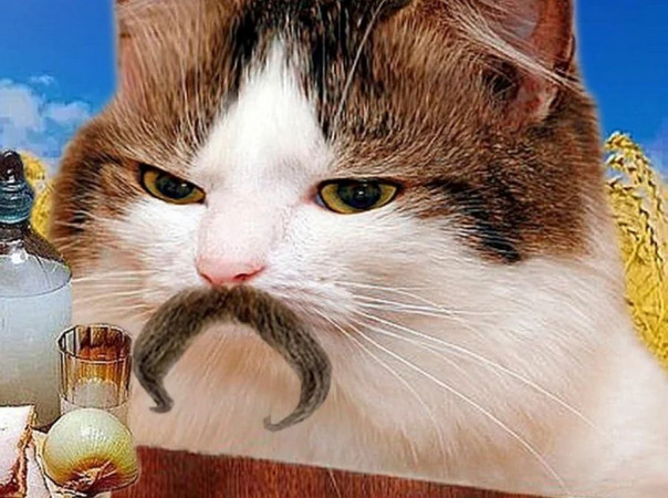 О чём помалкивают украинизаторы | Защитим украинский, добивая его?