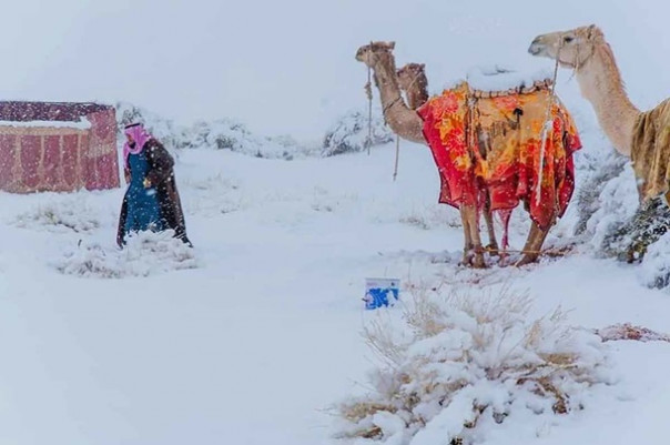 Стамбул и Сахару засыпало снегом