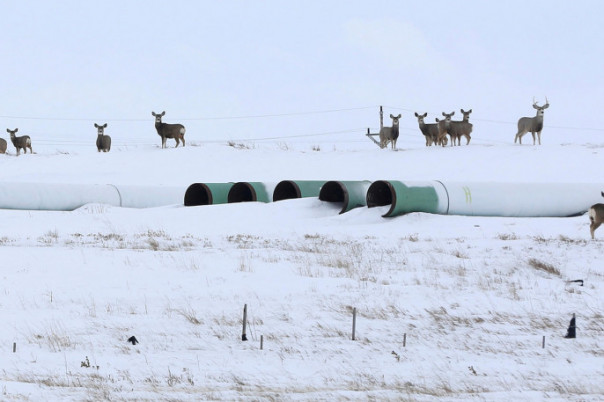 Байден, "Кистоун" и иранский фактор. Борис Марцинкевич