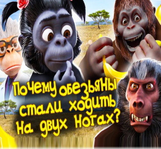 Почему обезьяны стали ходить на двух ногах?