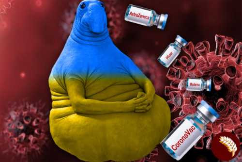 Украина: вакцин нет, есть протесты