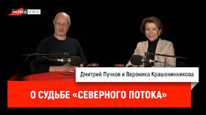 Вероника Крашенинникова о судьбе «Северного потока» | О стратегиях и развитии Арктики | Северный Гоблин