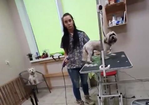 Мовнюки не могут обойтись ни дня без языкового скандала