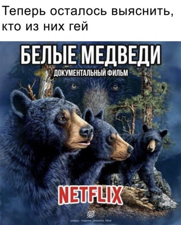 "Мыздобулы" в картинках. Смешных и не очень... 28.02.2021