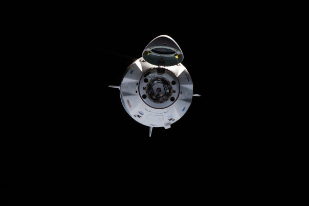 SpaceX планирует отправить четырех туристов на орбиту до конца года