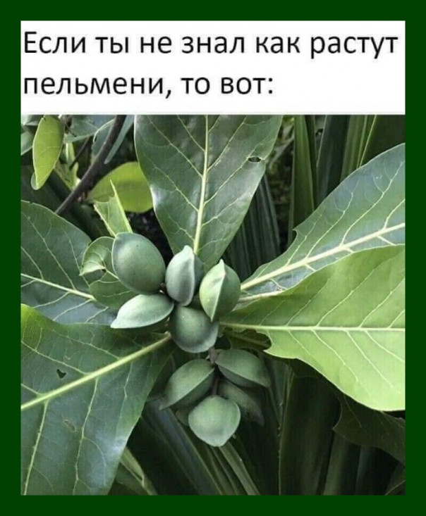 Весёлые картинки # 91