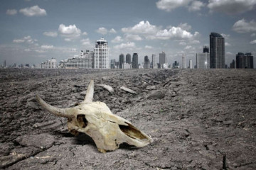 6 крупных городов, которые могут исчезнуть менее чем через 50 лет