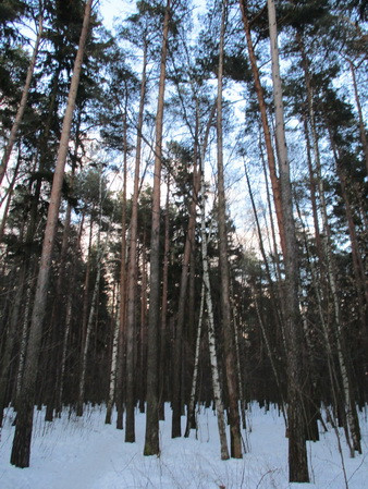 А.В.Росич. Коротко о похудении (из переписки)