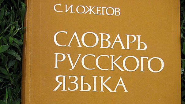 Как Украина хочет украсть у России русский язык и почему это не получится. Григорий Игнатов
