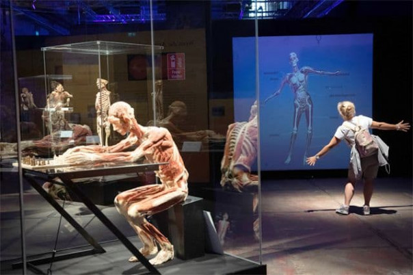 Выставка расчленённых трупов на ВДНХ?! И это не сон.