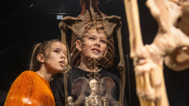 ВДНХ прокомментировала выставку с человеческими телами