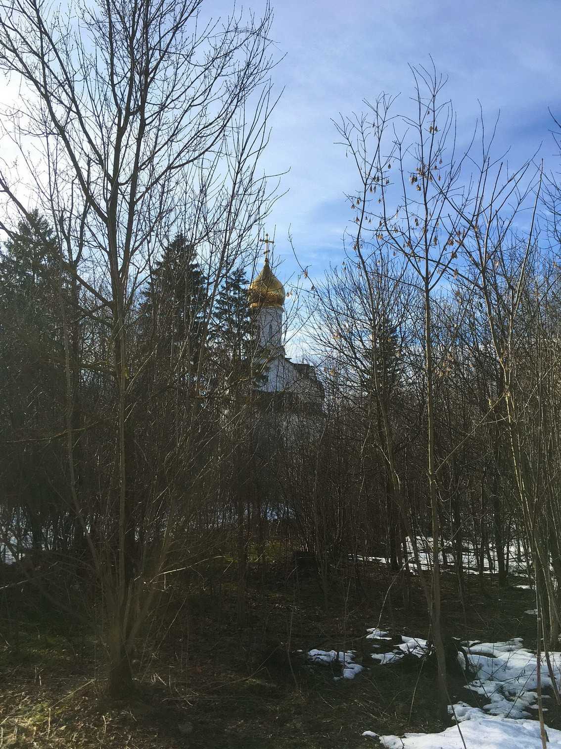 А.В.Росич. Комментарий к статье Тьерри Мейсана о медицине и политике