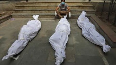 Тела сжигают прямо на улице, мировые рекорды заражаемости. Индия поставила мировой рекорд по суточному приросту случаев COVID-19