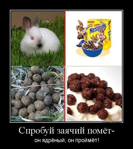 О «пользе» заячьего помёта