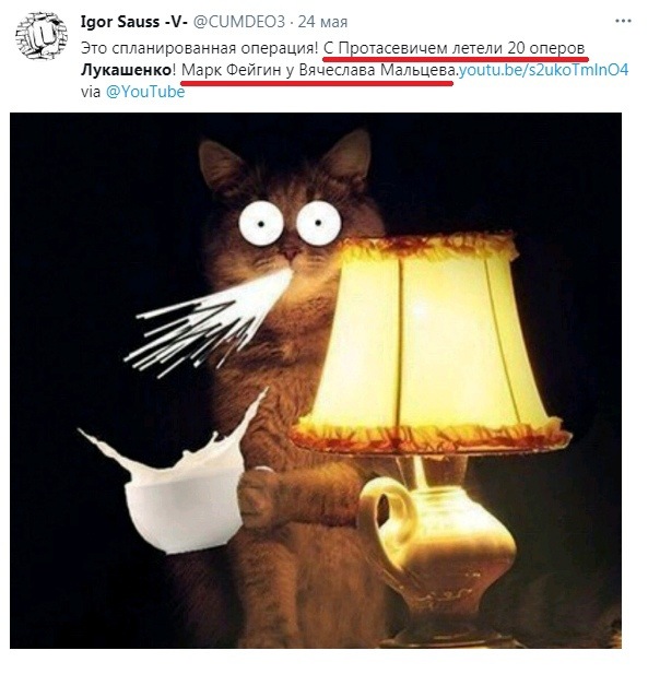 Самолет в Минске посадили из-за западных спецслужб, заявили в бундестаге