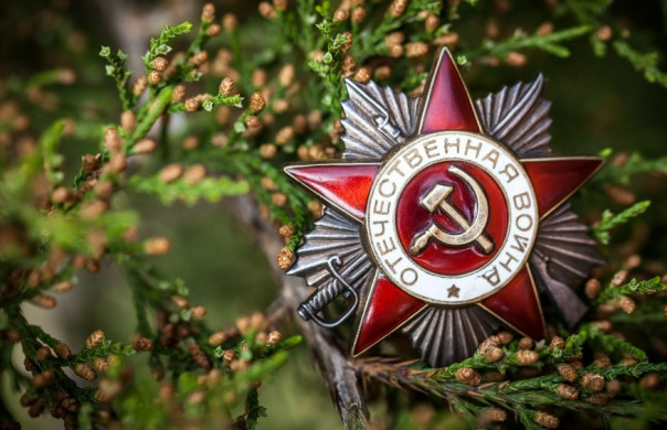 «Окна Победы», «Марафон Победы», «Посади Лес» - какие акции проводятся в честь праздника