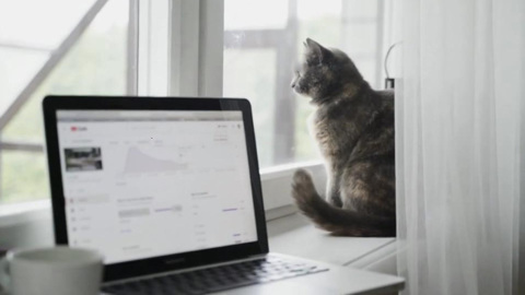 Сбой у CDN-провайдера Fastly "сломал интернет".