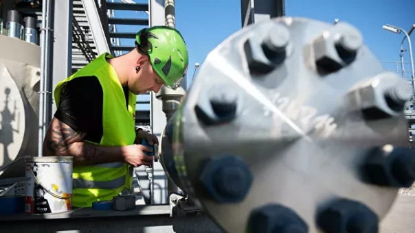 Немецкие экологи попросили отозвать разрешение по "Северному потоку — 2"