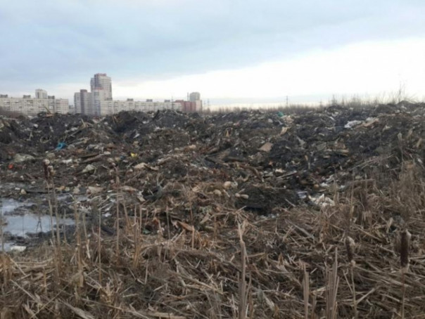 Золоотвал не убрать, пока Гульчук возглавляет Невский район