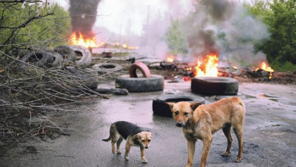 Когда проиграли последний бой на блокпосту | Начало работы в группе разведки «Лешего» | Снайпер. Но без фанатизма | Были босые с патронами и злостью