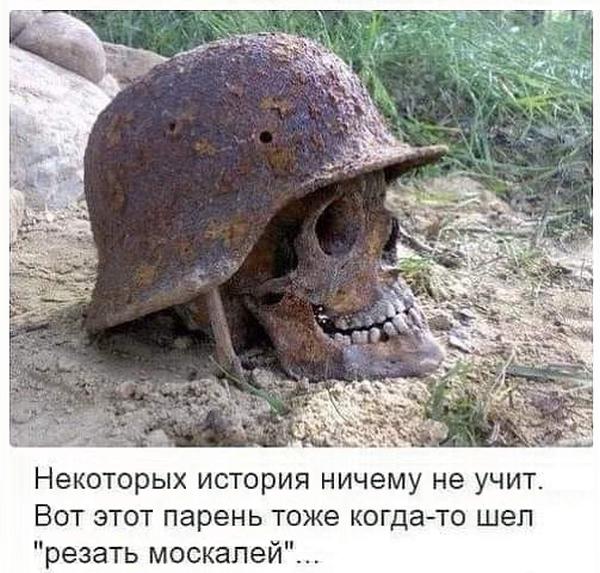 Зеленский официально возглавил неонацистов и борцов с «победобесием»? Владимир Скачко