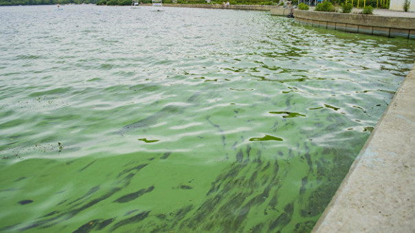 Днепр приплыл: что ожидает главную водную артерию Украины