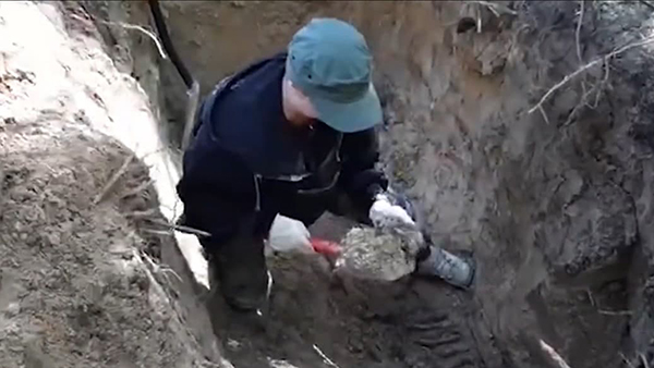 Место массового захоронения узников финских концлагерей обнаружили в Карелии