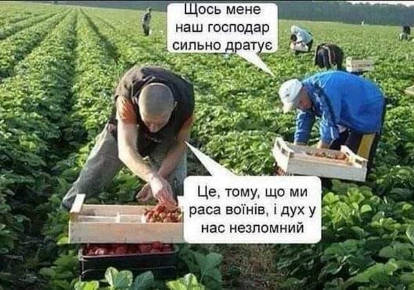 Без детей – это «старость, не радость» по-украински. Владимир Скачко