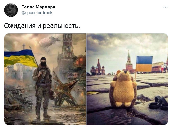 "Мыздобулы" в картинках. Смешных и не очень..31.08.2021