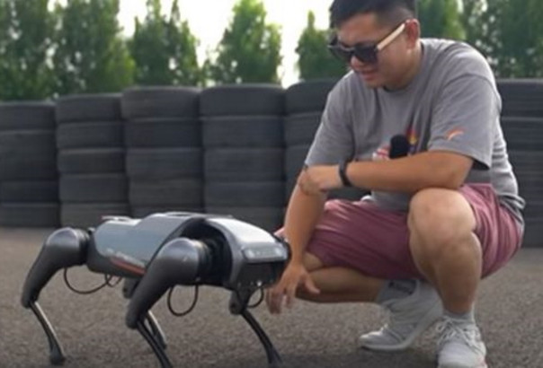 Xiaomi анонсировала выпуск четвероногих роботов CyberDog